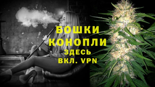 индика Новозыбков