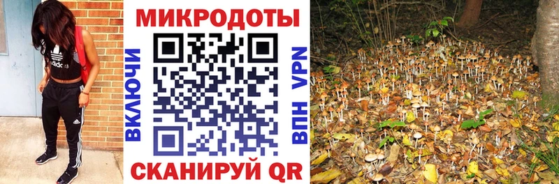 мориарти как зайти  Уяр  кракен ссылки  Галлюциногенные грибы Psilocybe  цены  